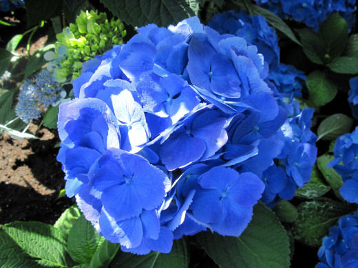 996545 (a): :2560x1920